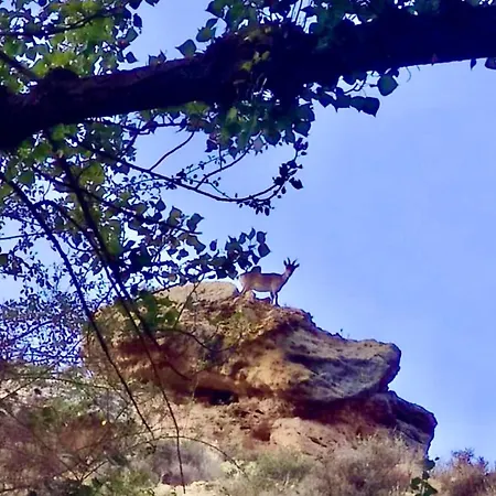 El Rincon De Parras Country house *