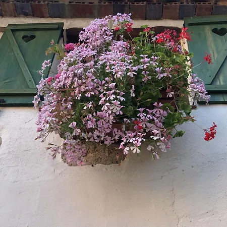 Landhaus El Rincon De Parras Las Parras de Martin