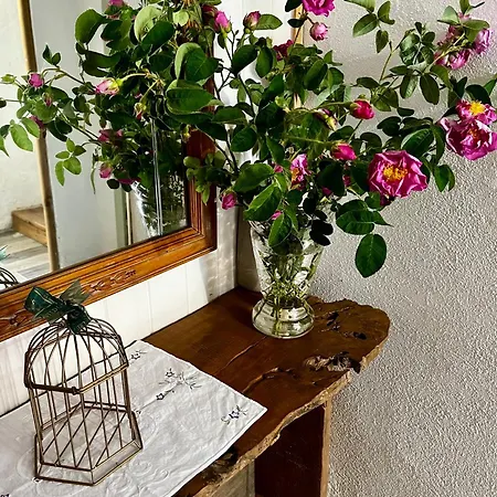 Country house El Rincon De Parras