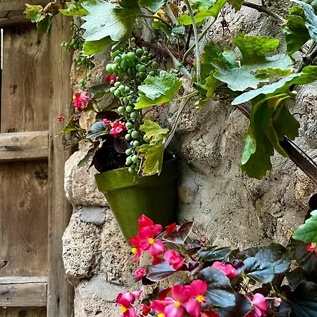 El Rincon De Parras Landhaus Las Parras de Martin