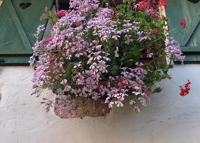 Casa de Campo El Rincón De Parras Las Parras de Martin