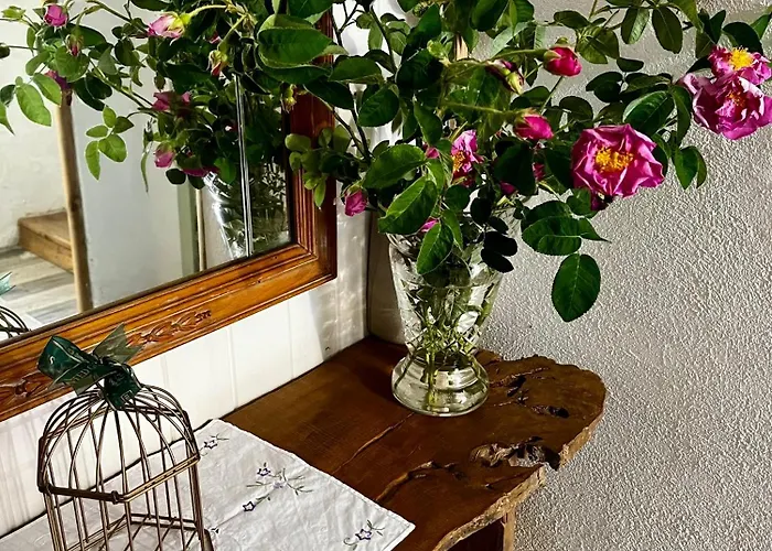 Casa de Campo El Rincón De Parras