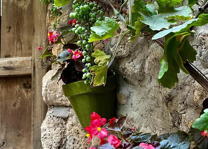 El Rincón De Parras Casa de Campo Las Parras de Martin