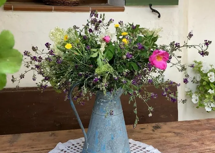 El Rincón De Parras